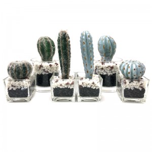 Kunstig kaktus i dekorativ glaspotte Faux saftig dekoration til hjemmet eller på kontoret