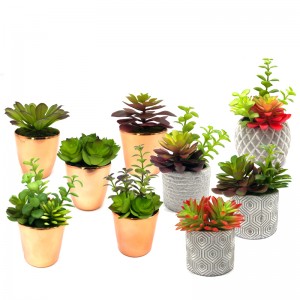 Mini kunstige sukkulente planter med potten bordplade dekorative klodeskærme Home Decor