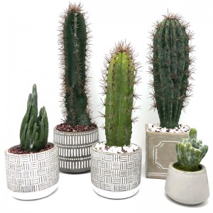 Moderne kunstig kaktus hjem eller kontor i dekorativ gryde sukkulent dekoration